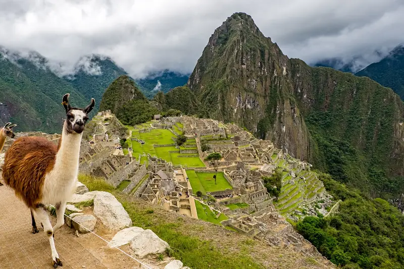 Hike to Machu Picchu