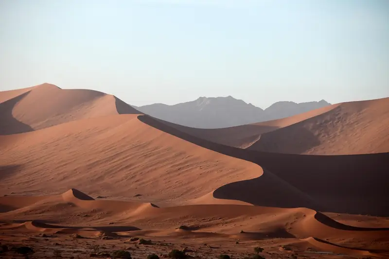 Sleep in the Sahara